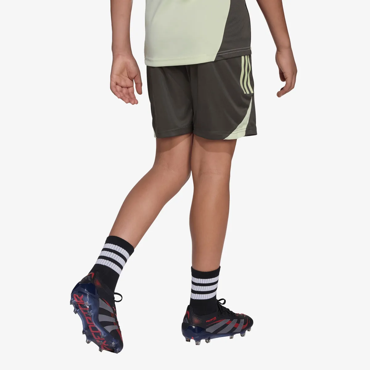 ADIDAS Kratke hlače REAL TR SHO Y 