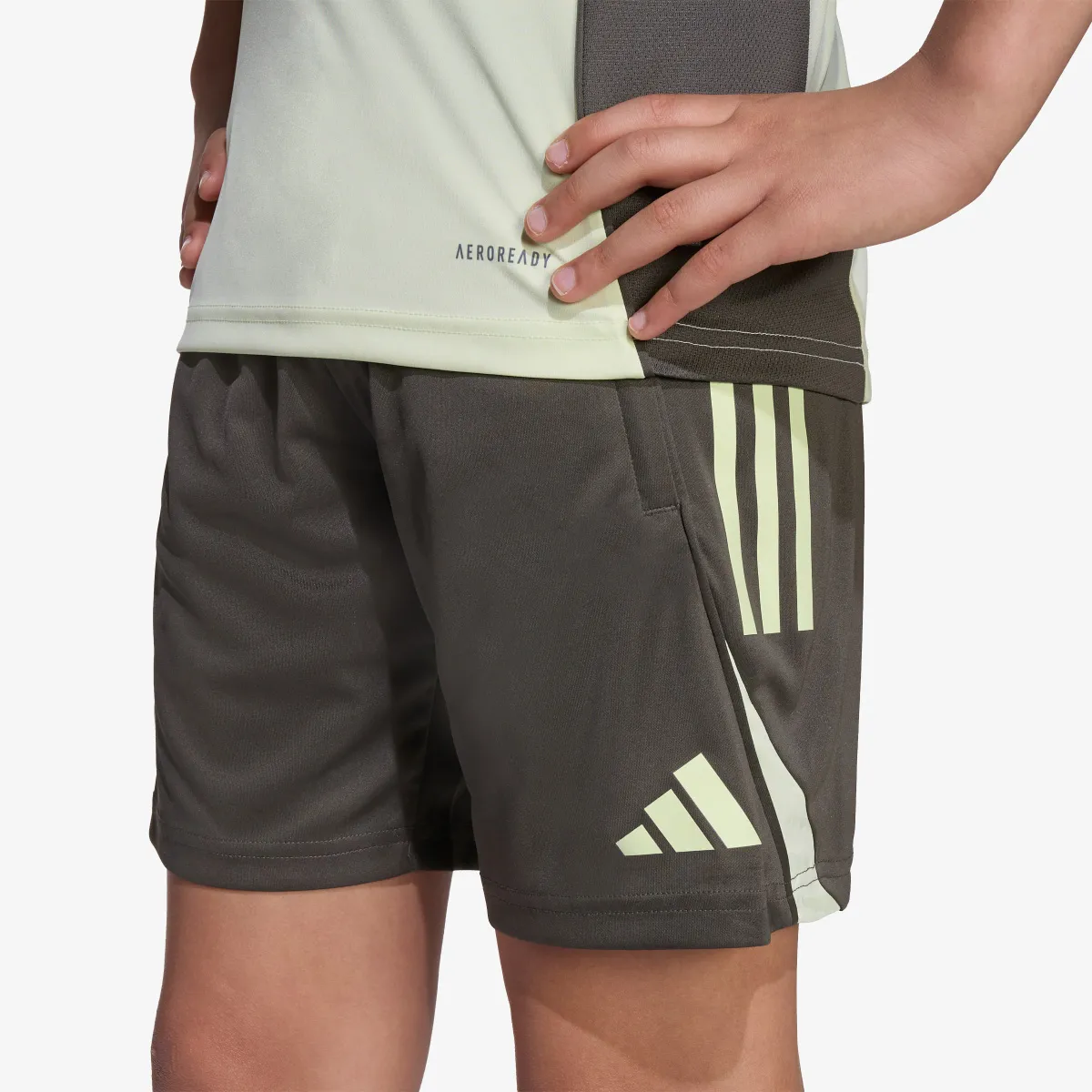 ADIDAS Kratke hlače REAL TR SHO Y 