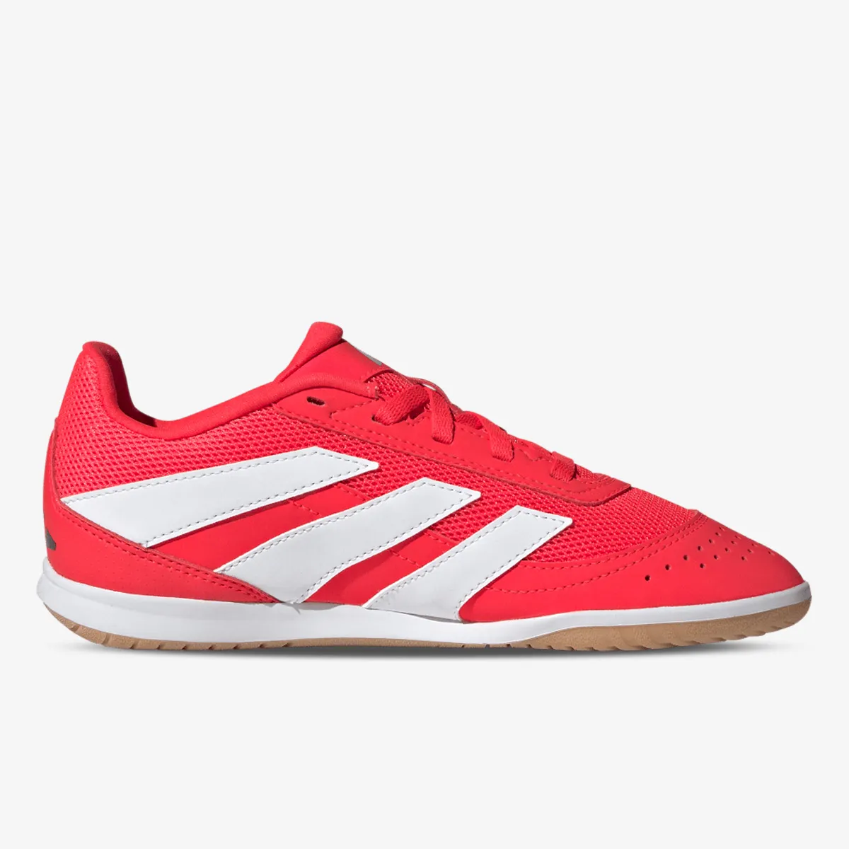 ADIDAS Tenisice PREDATOR CLUB IN SALA J 