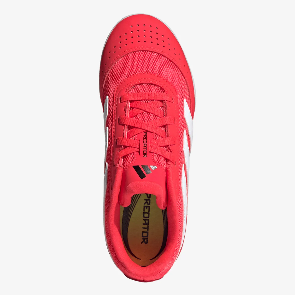 ADIDAS Tenisice PREDATOR CLUB IN SALA J 