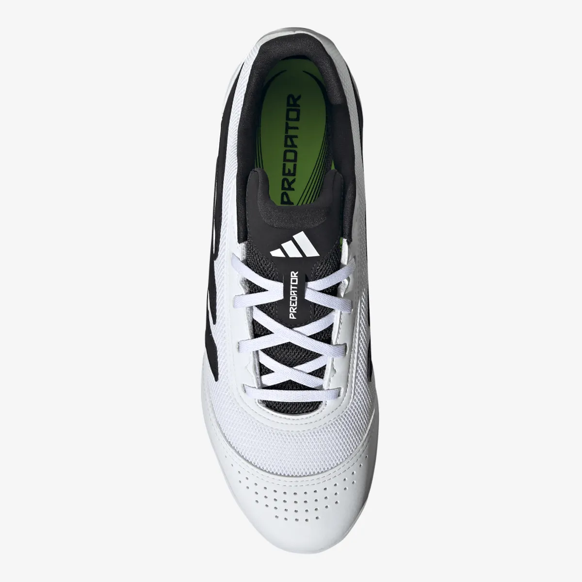 ADIDAS Tenisice PREDATOR CLUB IN SALA