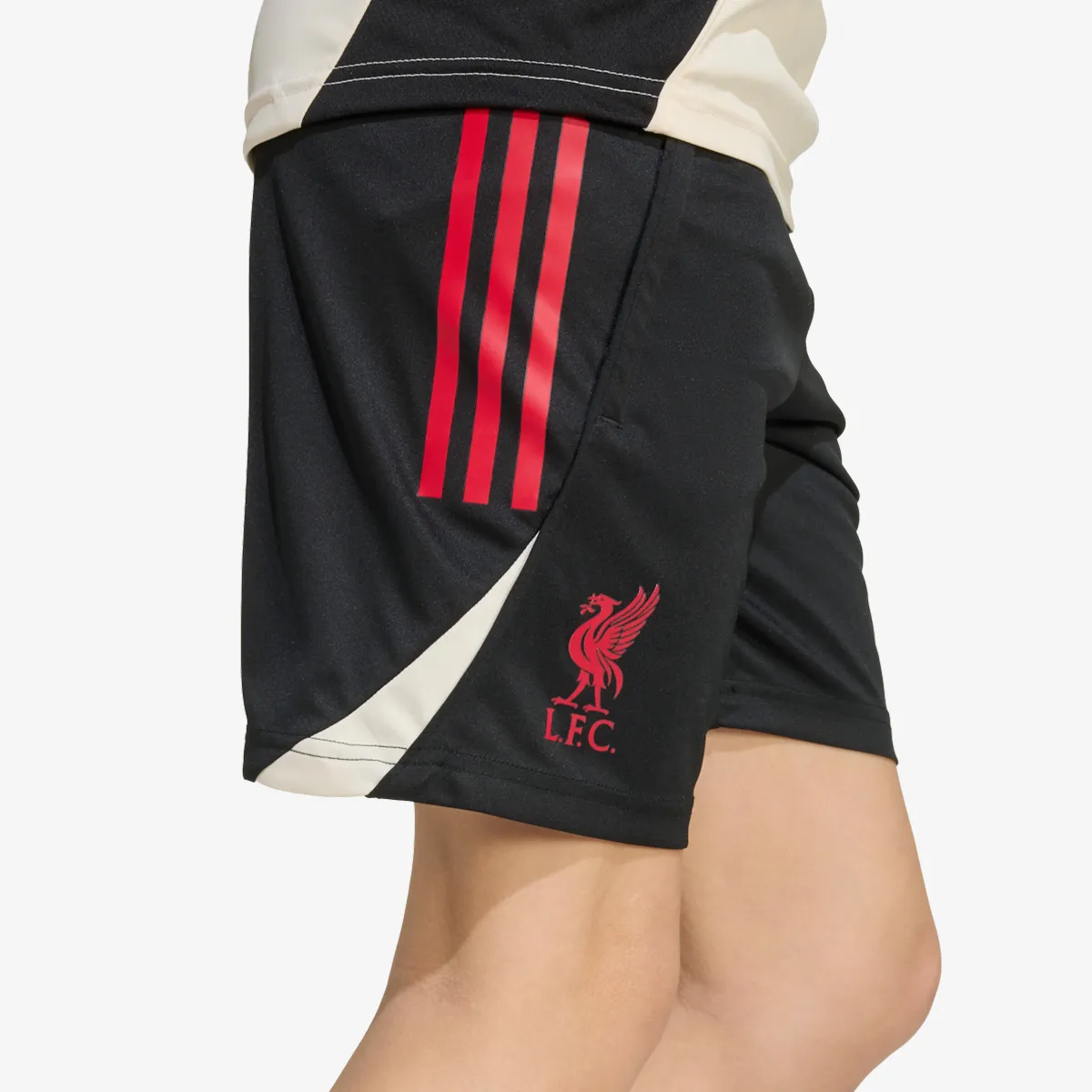 ADIDAS Kratke hlače LFC TR SHO Y 