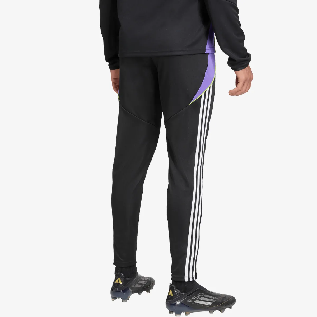 adidas Hlače TIRO24 TRPNT S 