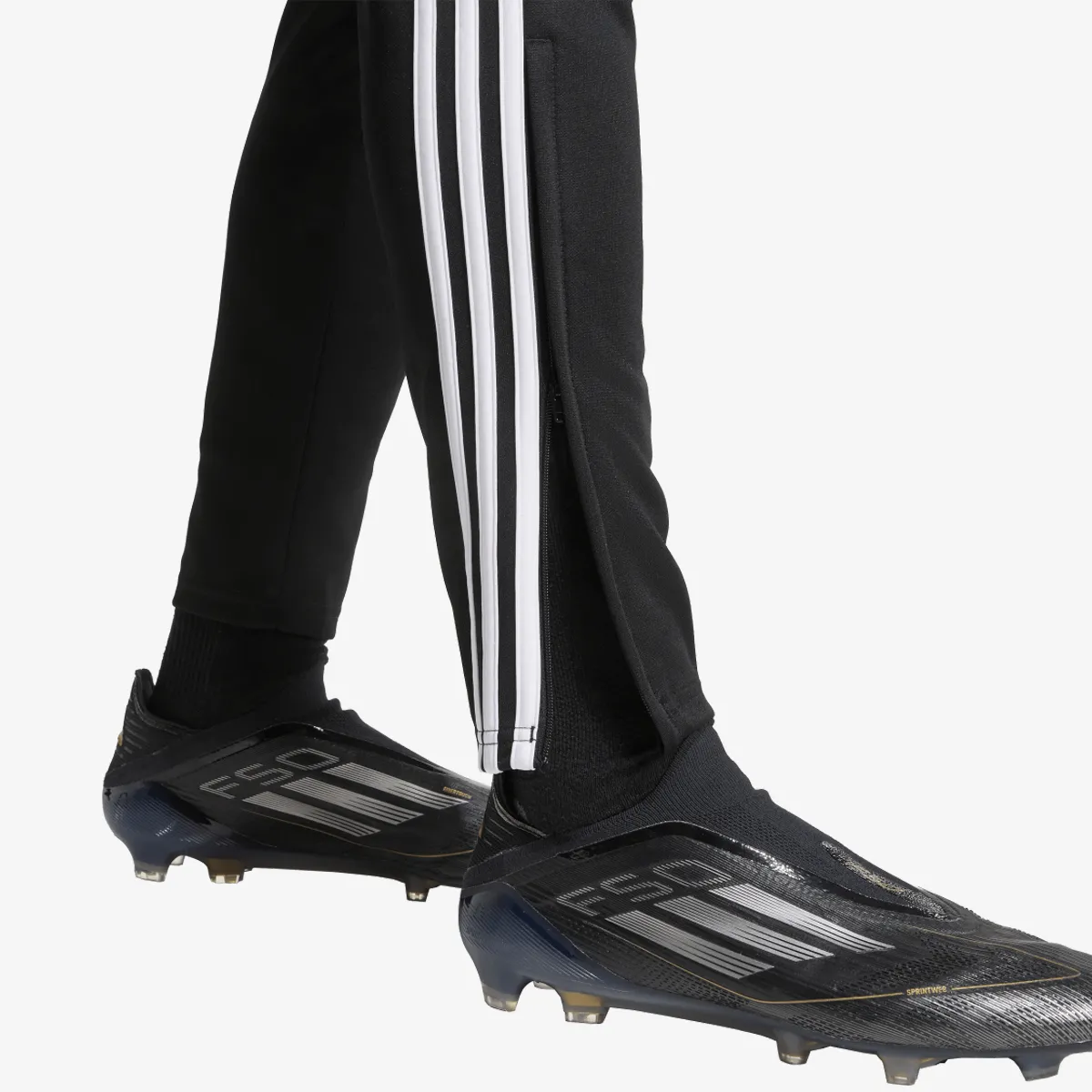 adidas Hlače TIRO24 TRPNT S 