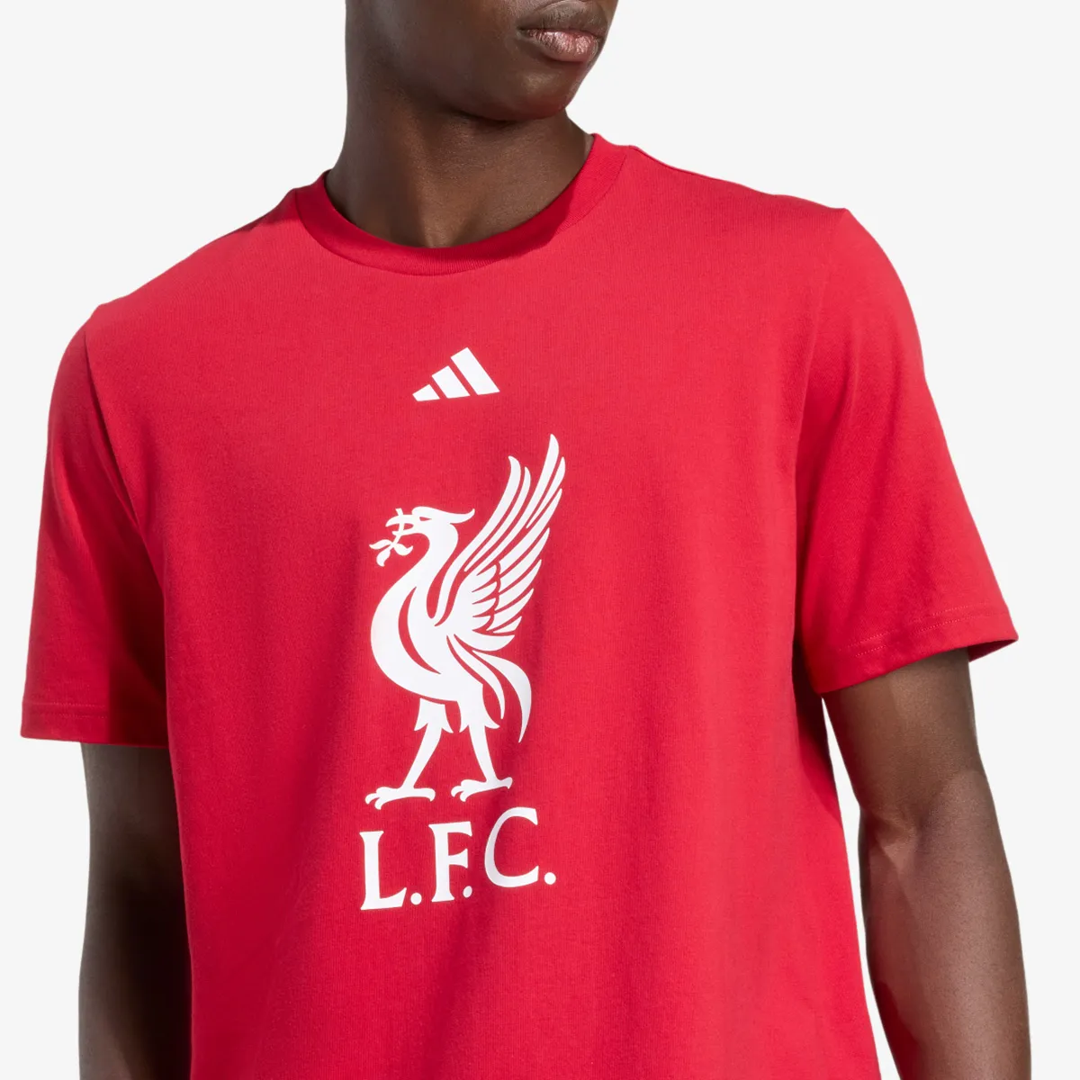 ADIDAS T-Shirt LFC DNA GR TEE