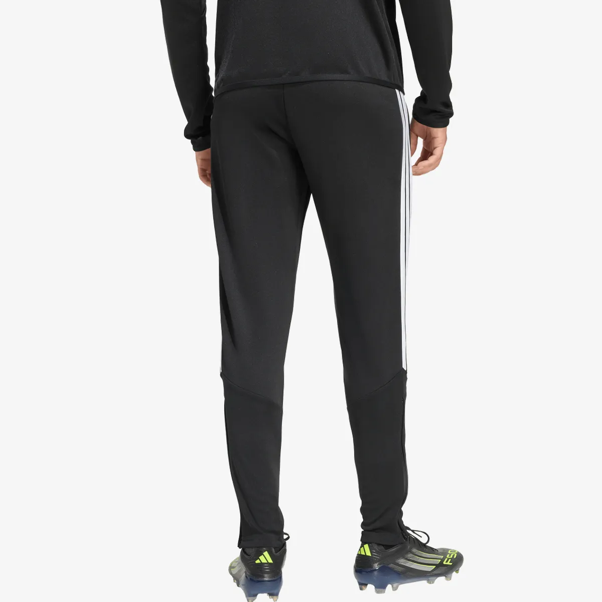 adidas Hlače TIRO26L  TRPNTS 