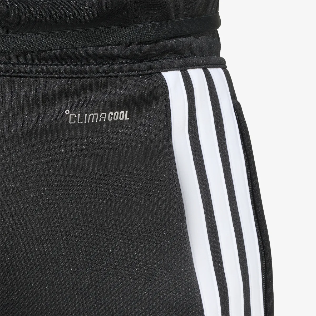 adidas Hlače TIRO26L  TRPNTS 