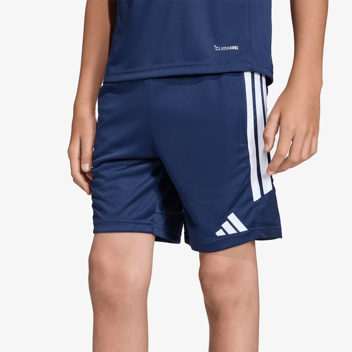 adidas Kratke hlače TIRO26L TRSHOY