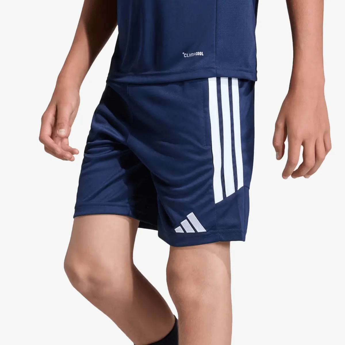 adidas Kratke hlače TIRO26L TRSHOY