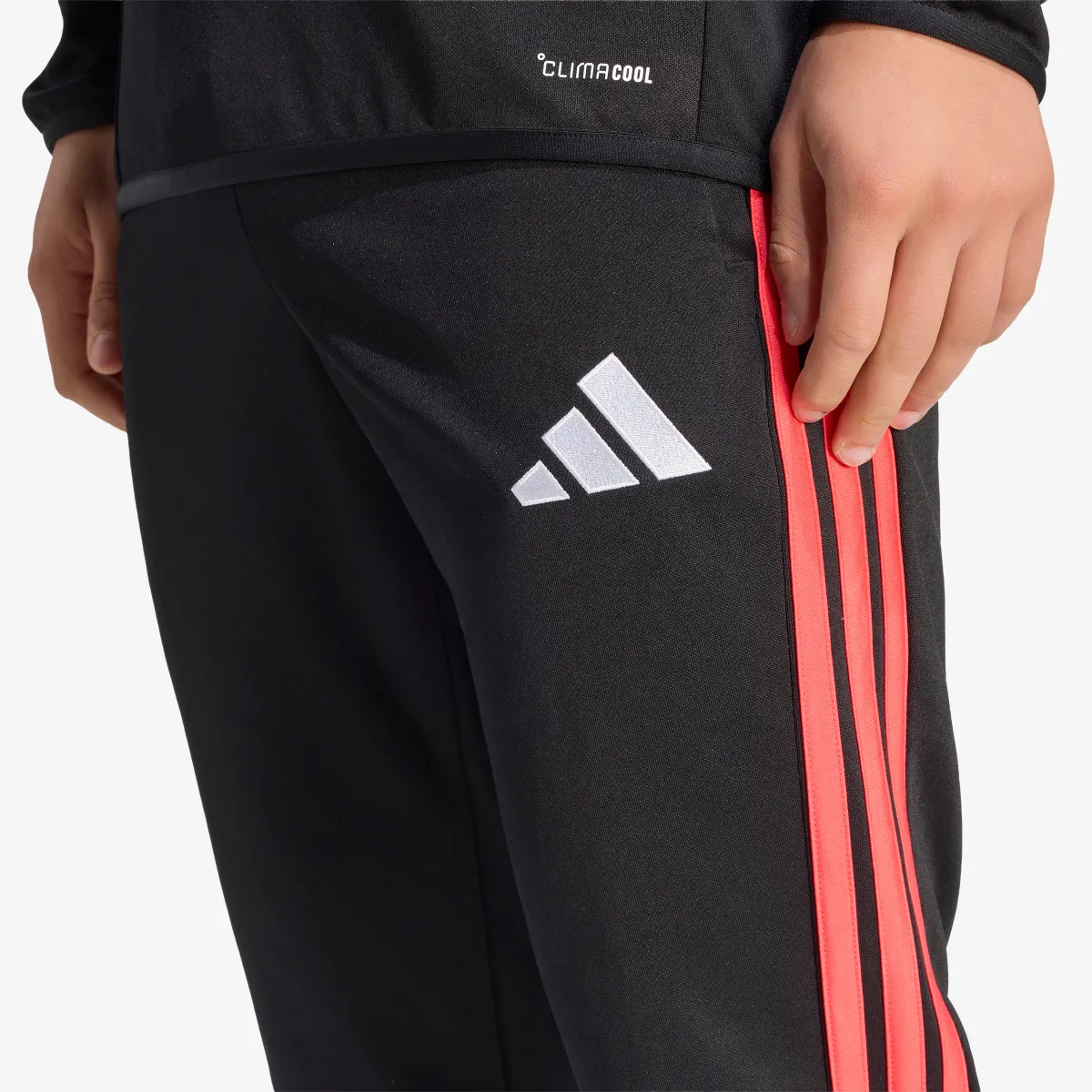 ADIDAS Hlače TIRO26L PNTR 