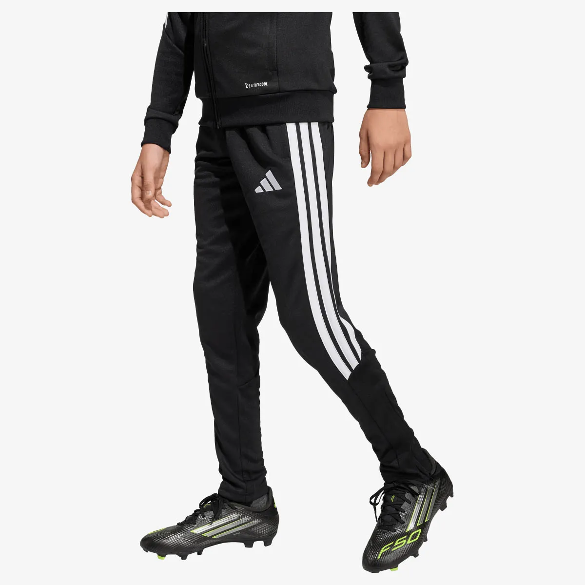 adidas Hlače TIRO26L PNTR Y