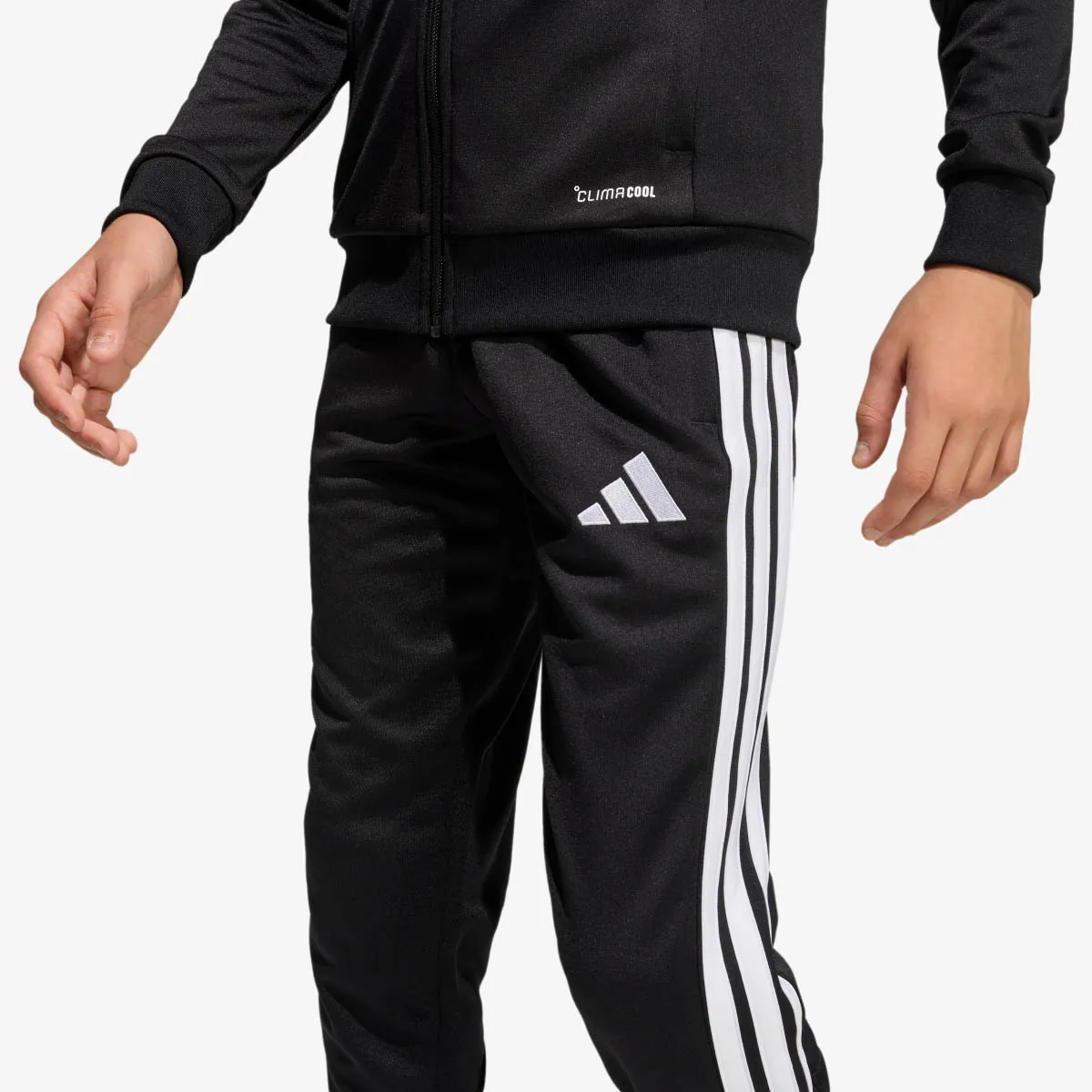adidas Hlače TIRO26L PNTR Y