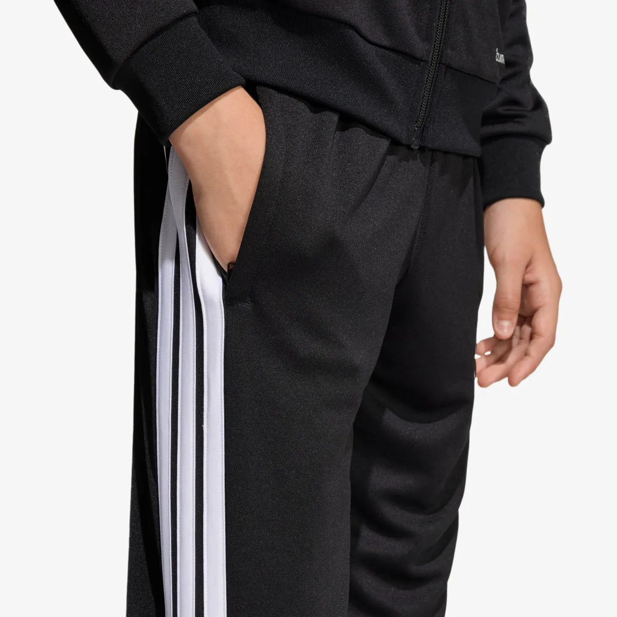 adidas Hlače TIRO26L PNTR Y