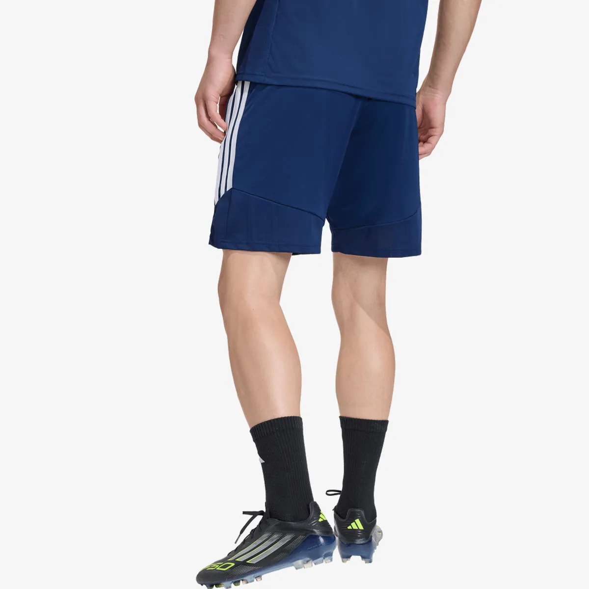 adidas Kratke hlače TIRO26L TR SHO
