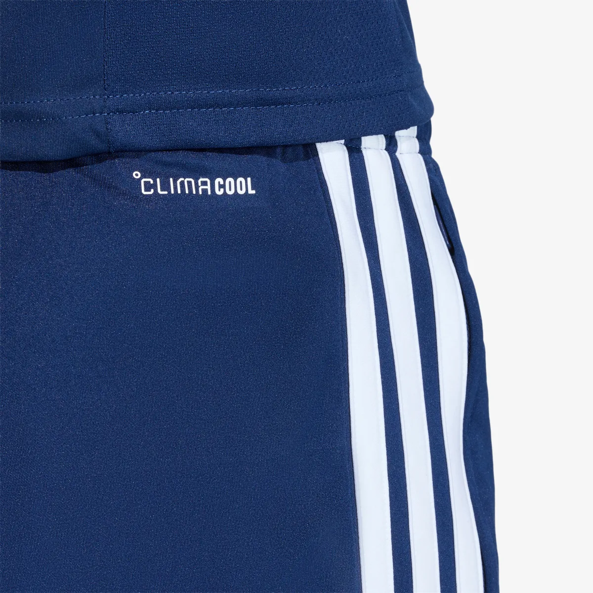 adidas Kratke hlače TIRO26L TR SHO