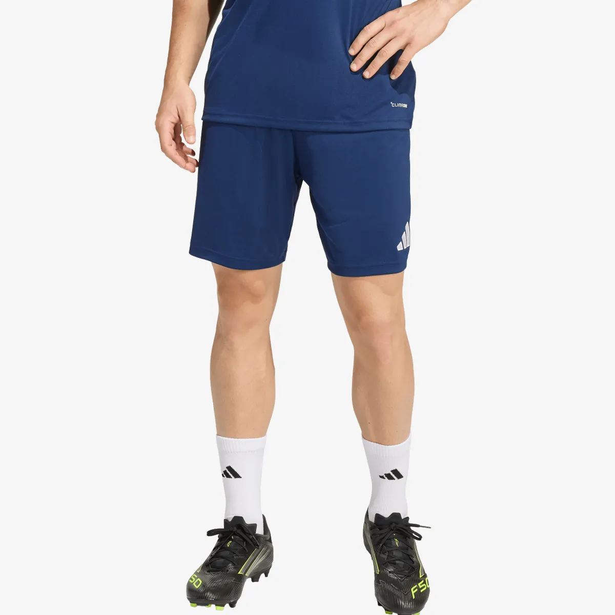 adidas Kratke hlače ENT26 SHO
