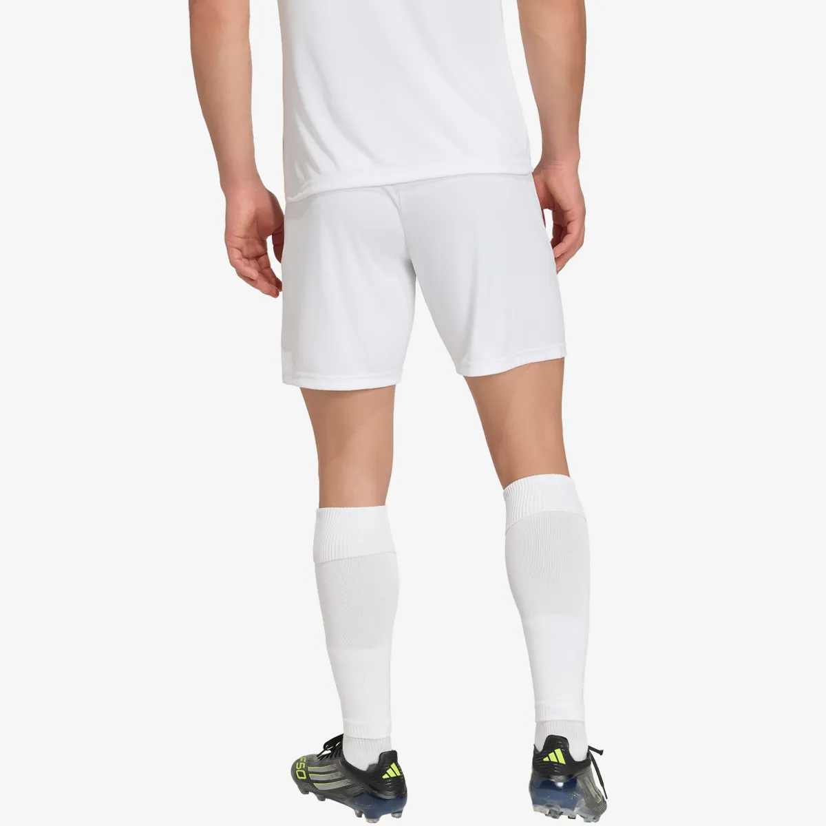 adidas Kratke hlače ENT26 SHO