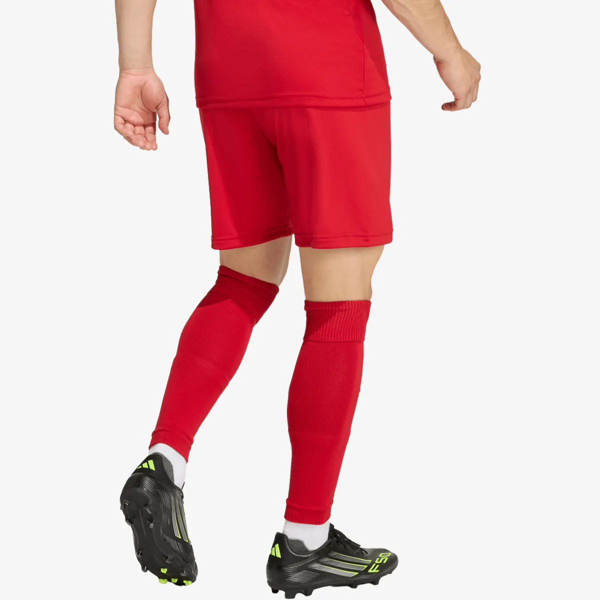 adidas Kratke hlače ENT26 SHO