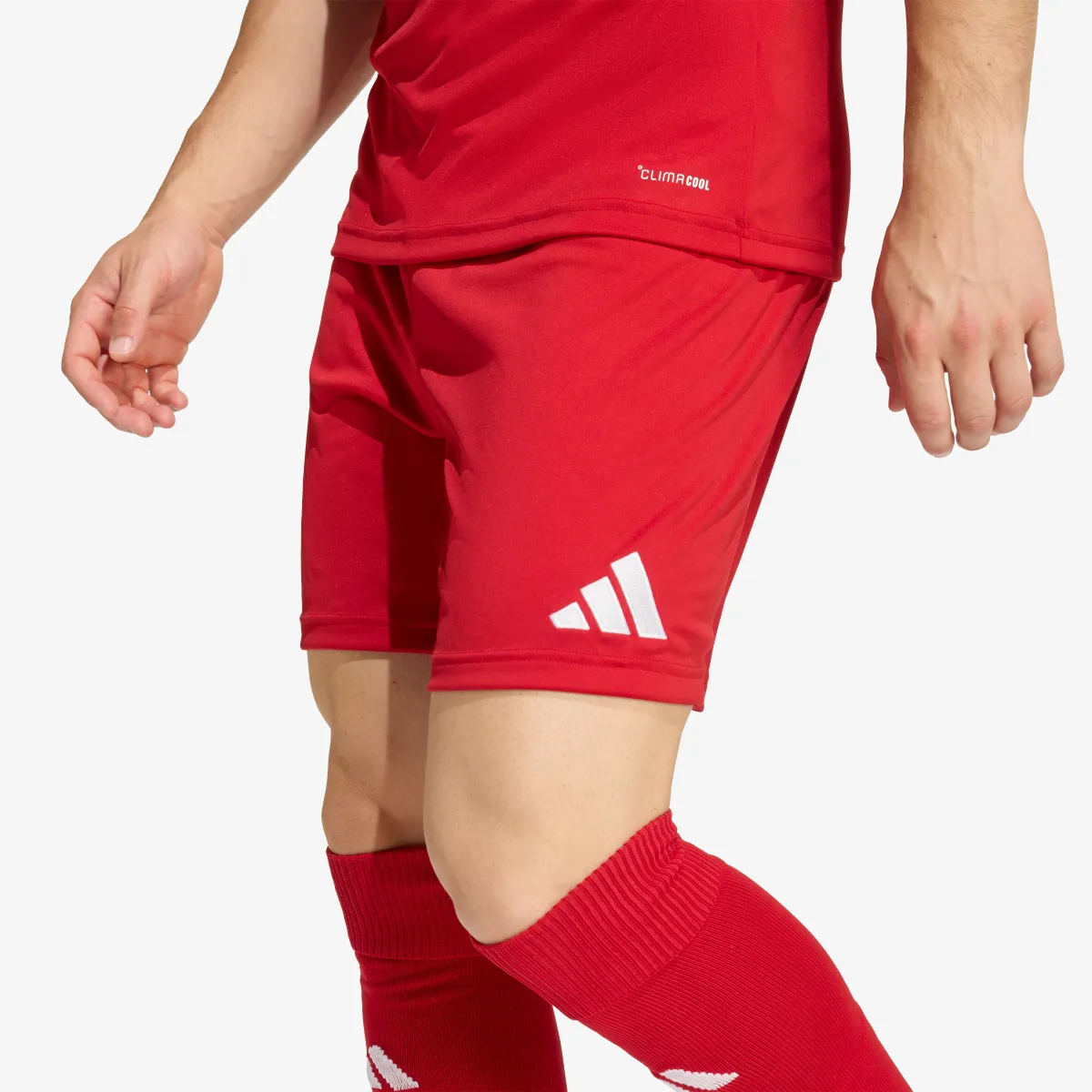 adidas Kratke hlače ENT26 SHO