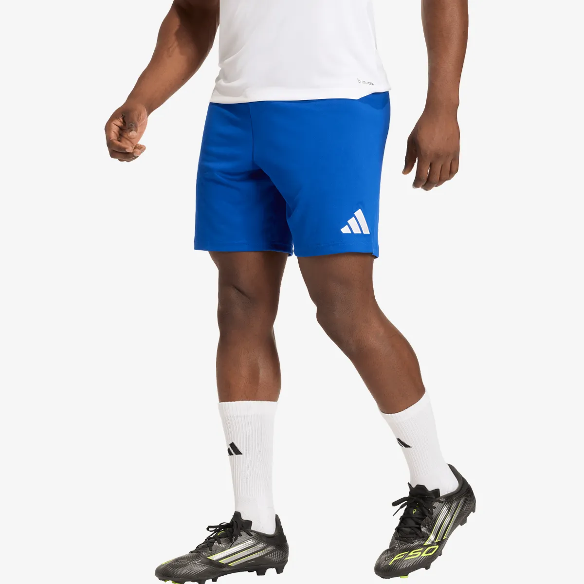 adidas Kratke hlače ENT26 SHO
