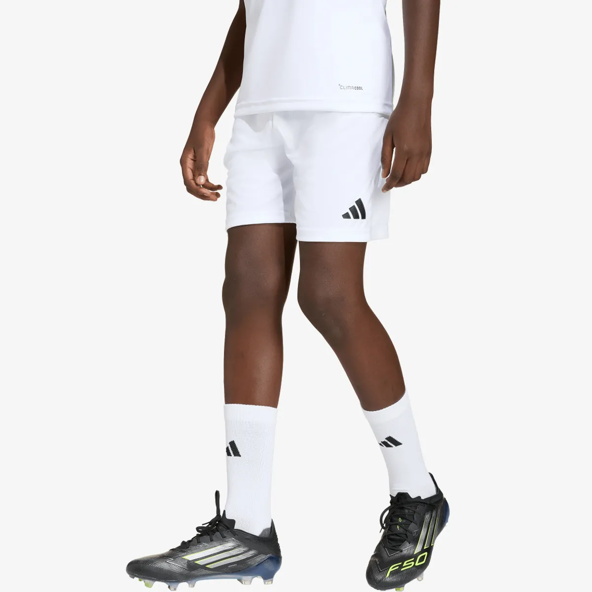 adidas Kratke hlače ENT26 SHO Y 