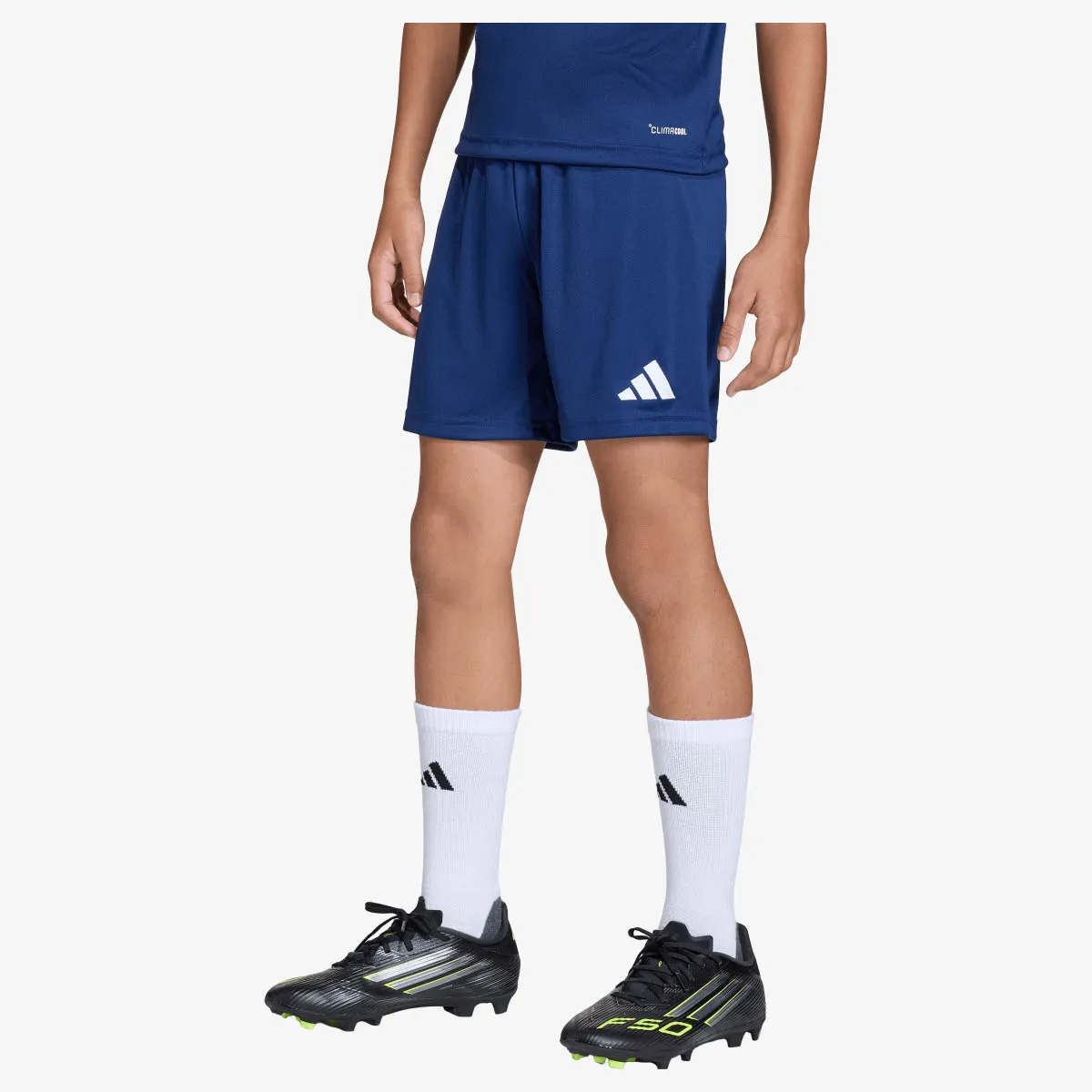 adidas Kratke hlače ENT26 SHO Y 