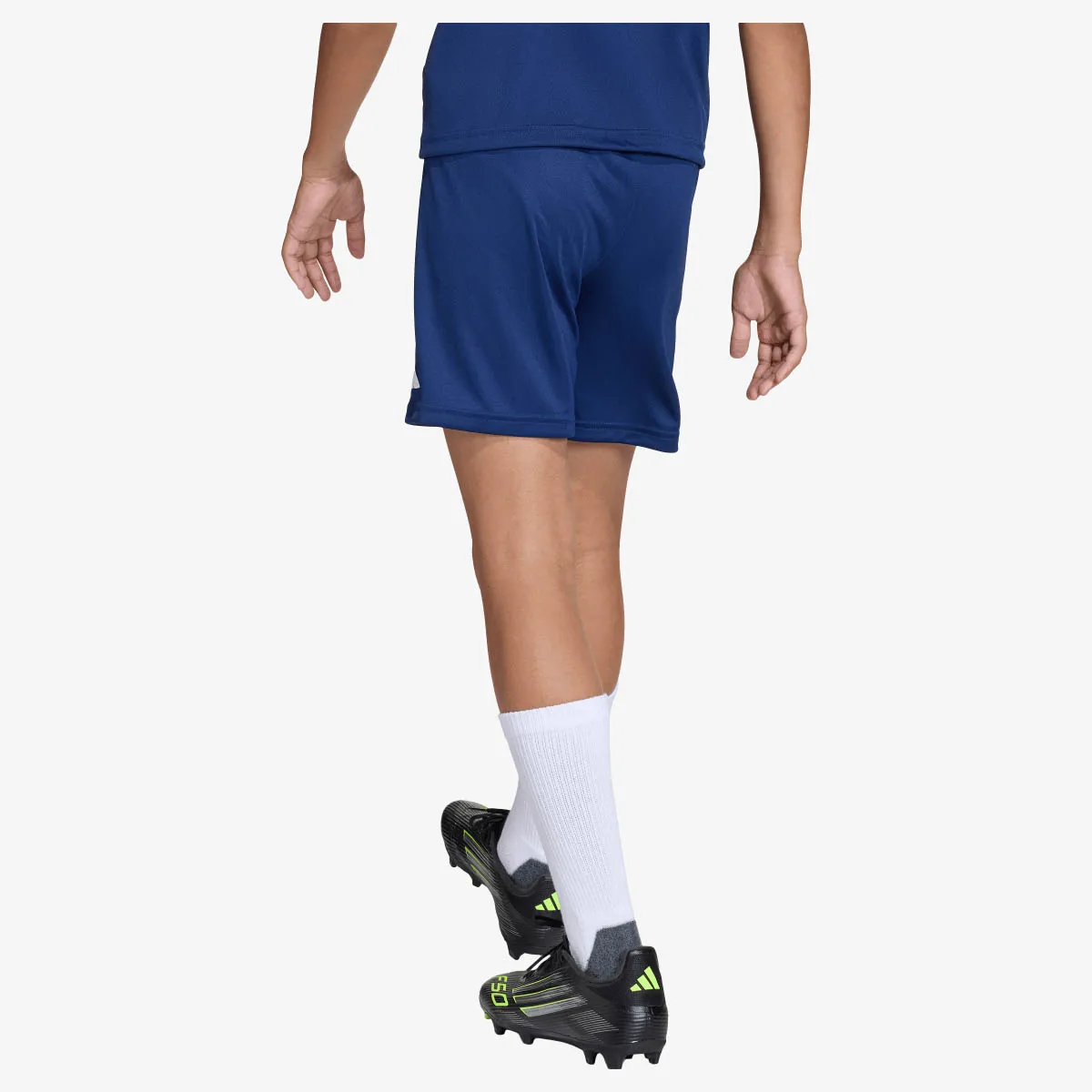 adidas Kratke hlače ENT26 SHO Y 