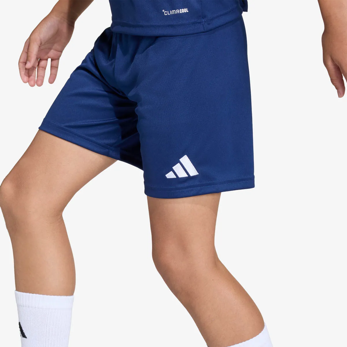 adidas Kratke hlače ENT26 SHO Y 