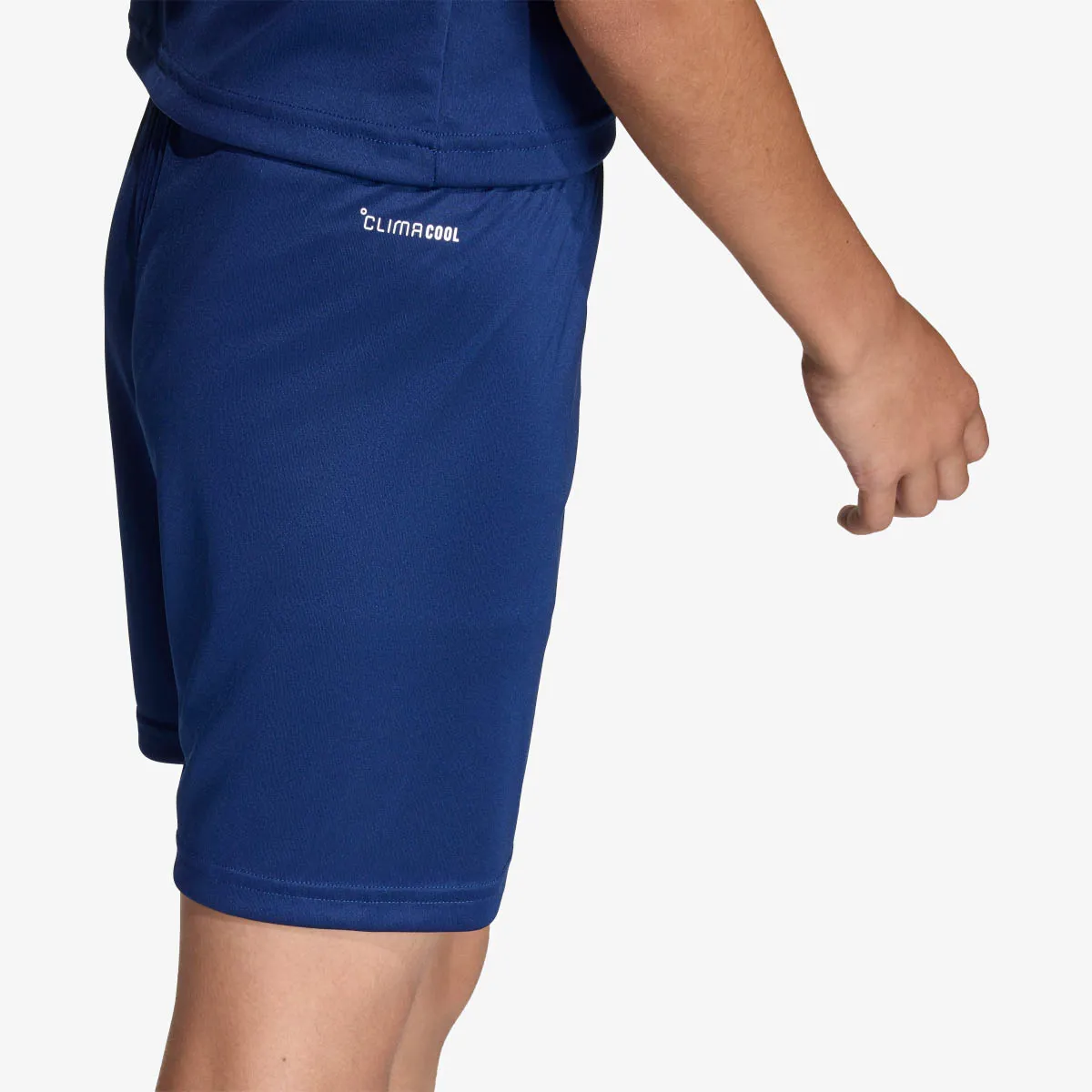 adidas Kratke hlače ENT26 SHO Y 