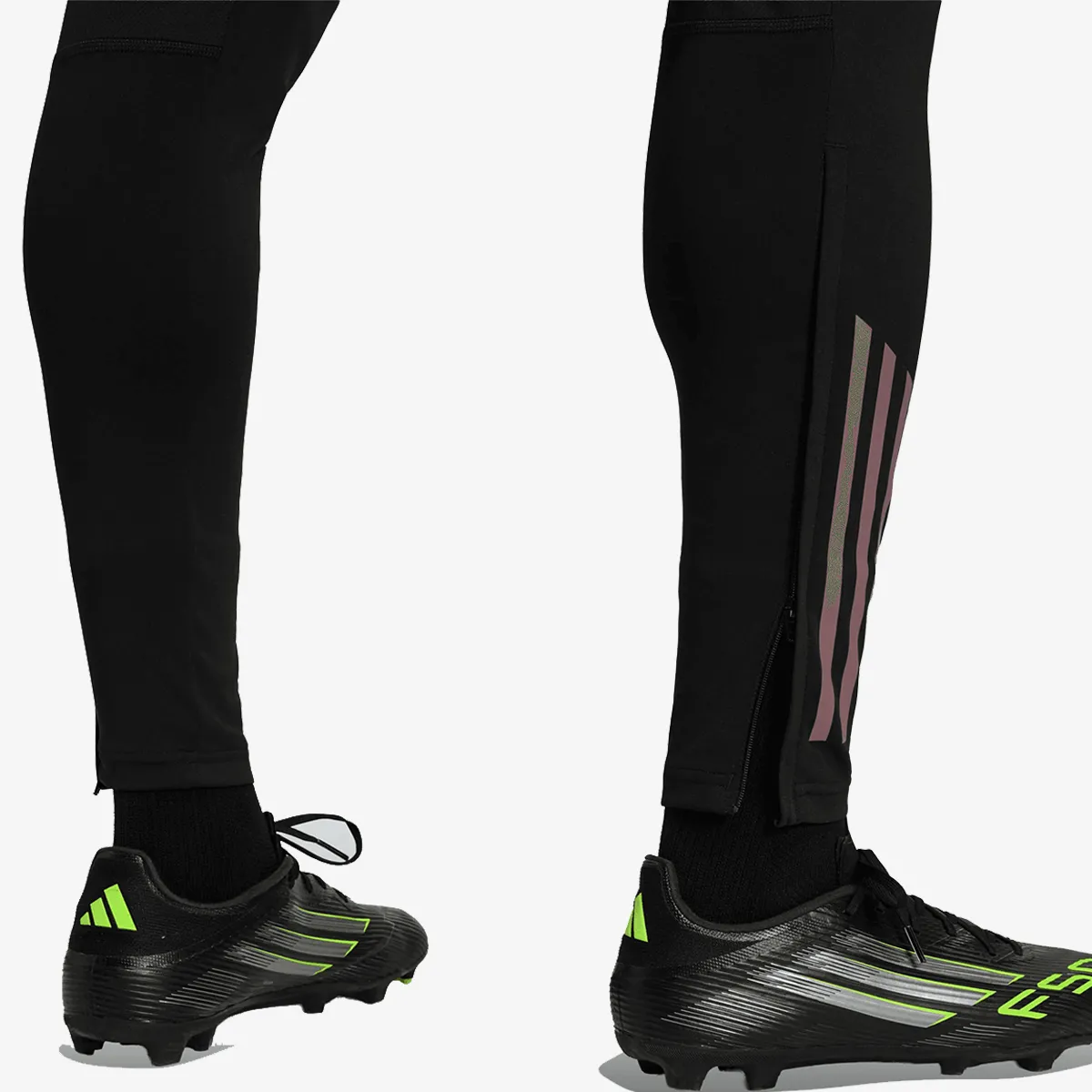 ADIDAS Hlače REAL TR PNT 