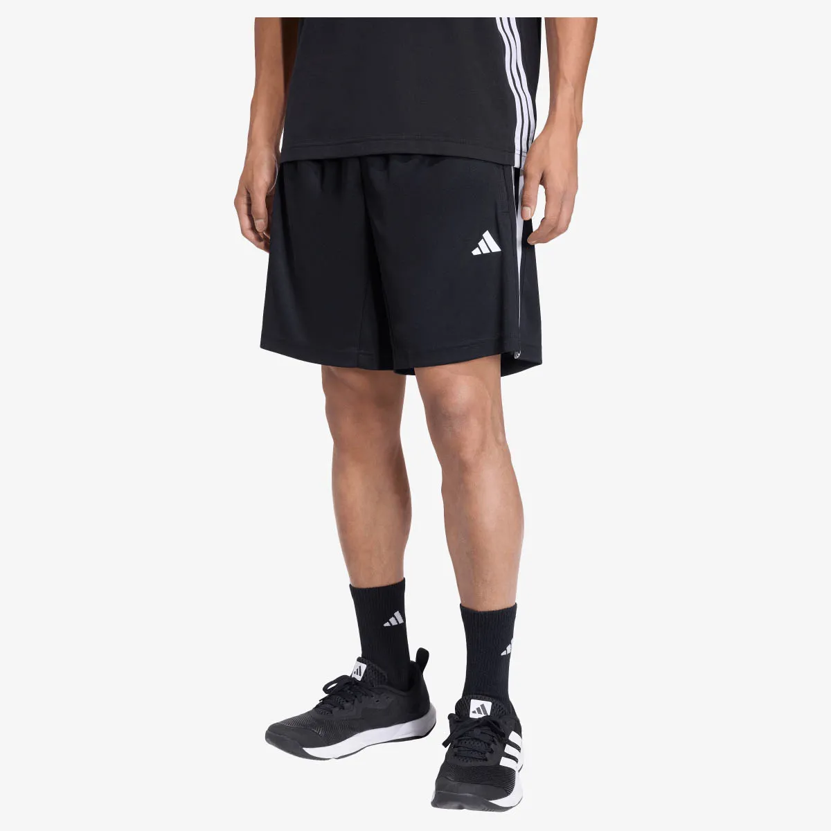 ADIDAS Kratke hlače WE BAS 3SPQ BT 