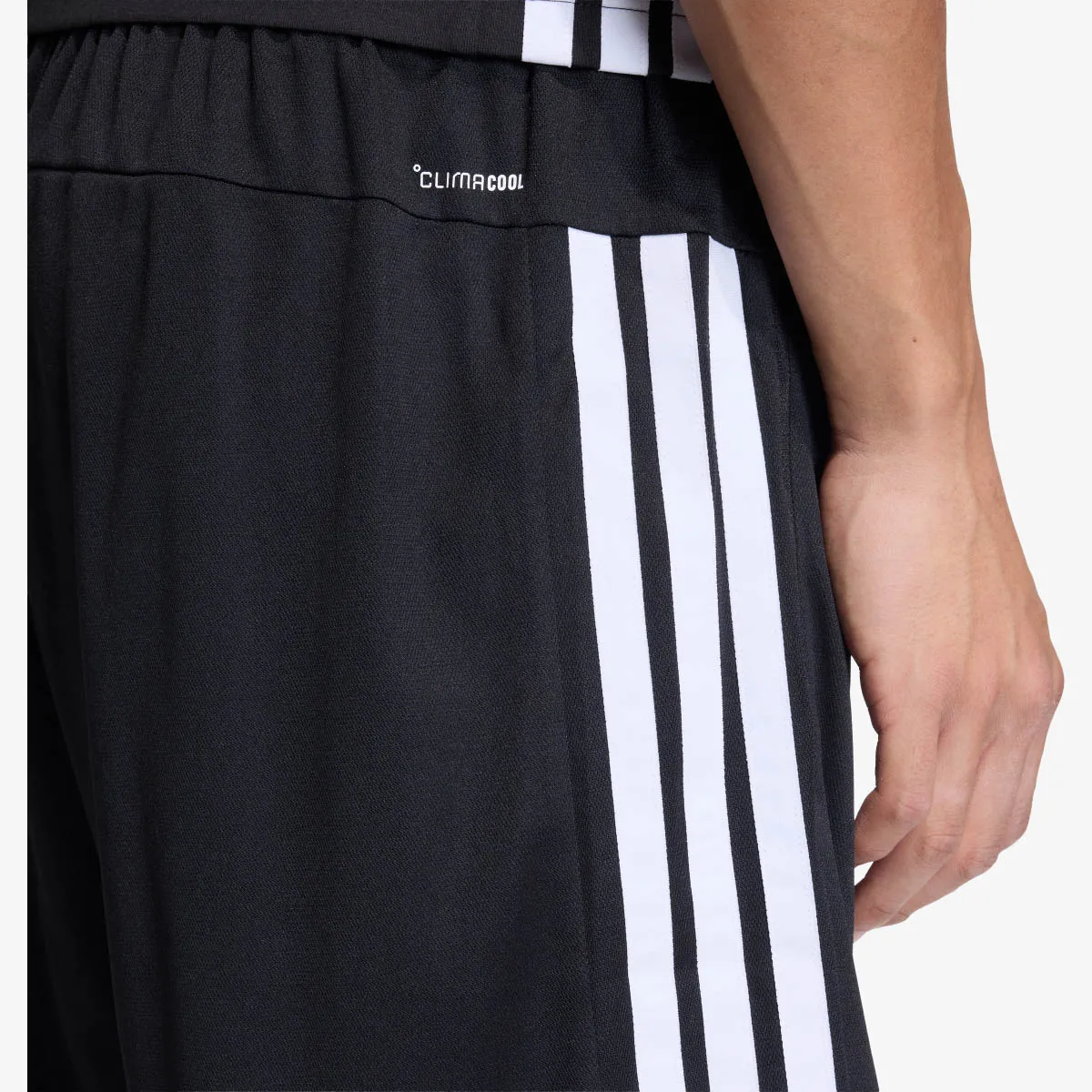 ADIDAS Kratke hlače WE BAS 3SPQ BT 