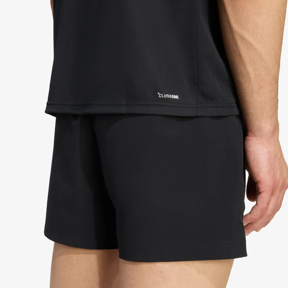 ADIDAS T-Shirt WE BAS T 