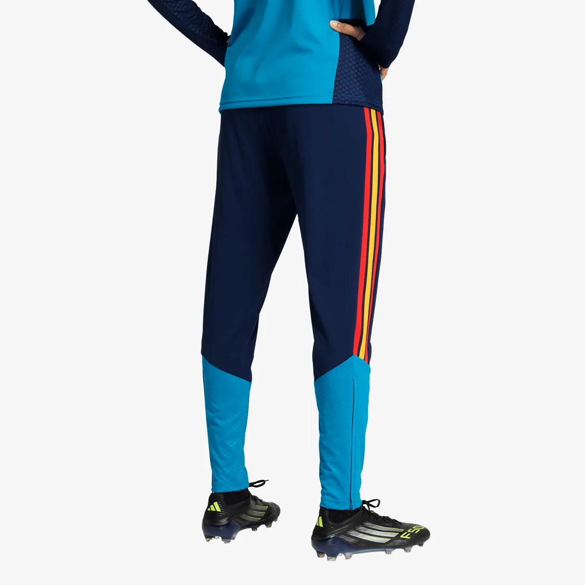ADIDAS Hlače RFEF TR PNT 