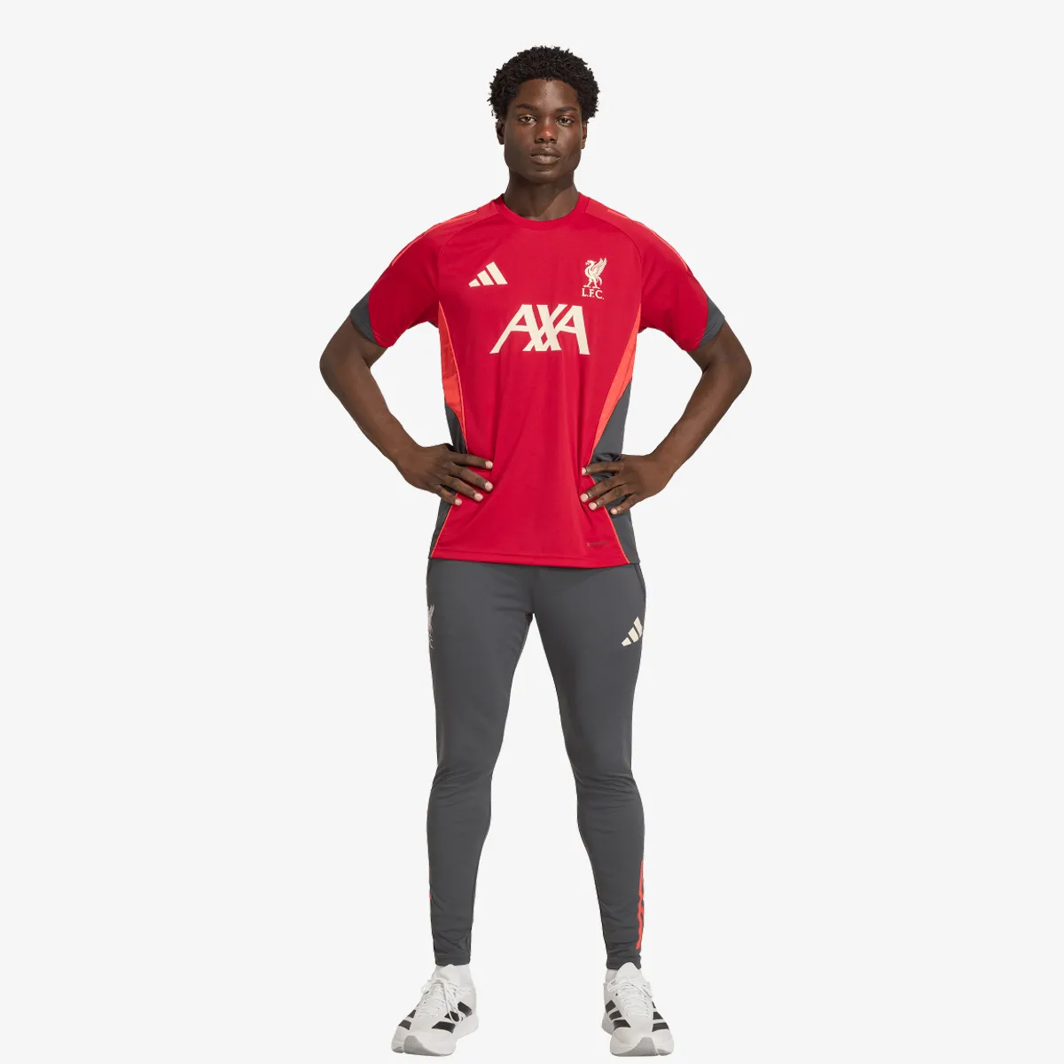 ADIDAS Hlače LFC TR PNT 
