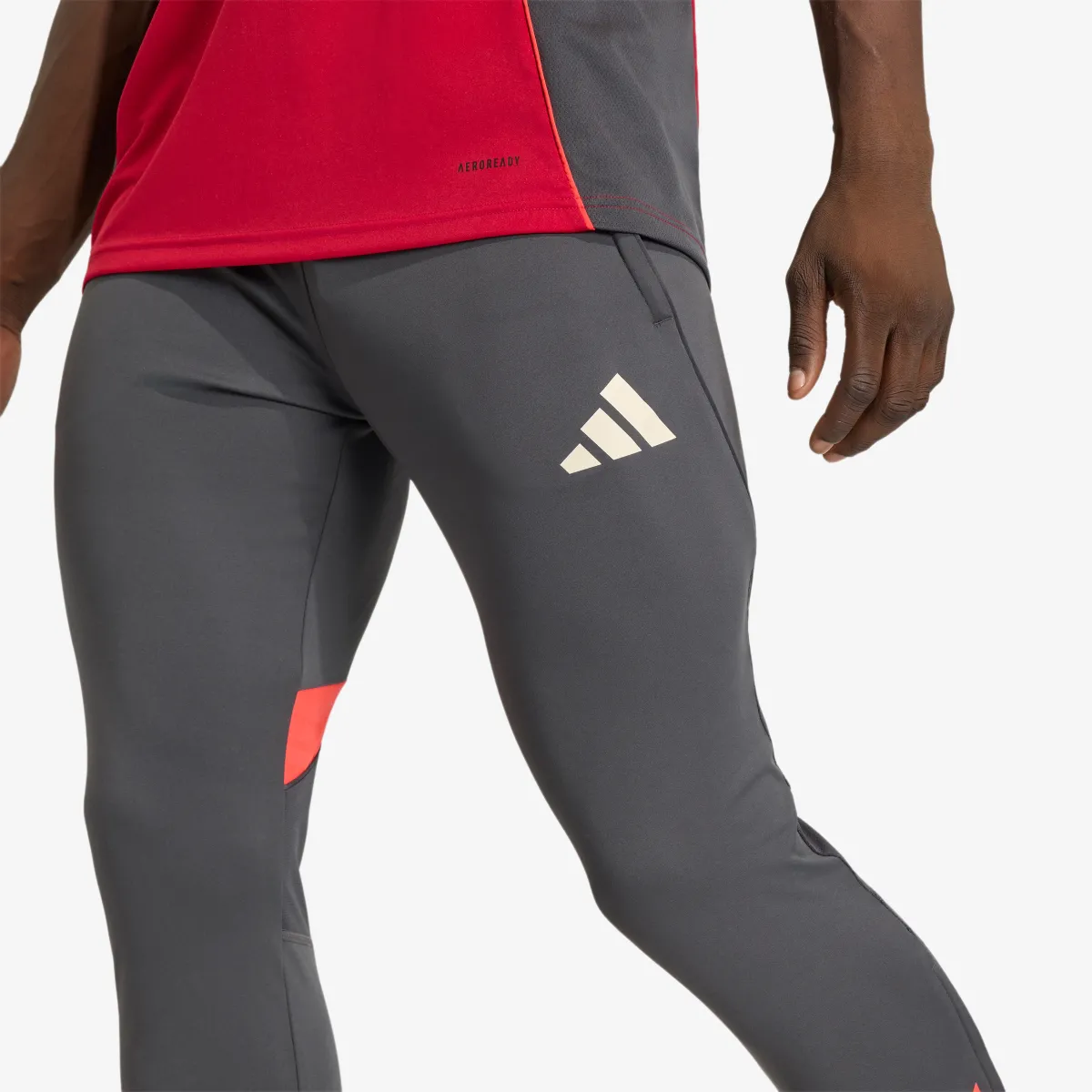 ADIDAS Hlače LFC TR PNT 