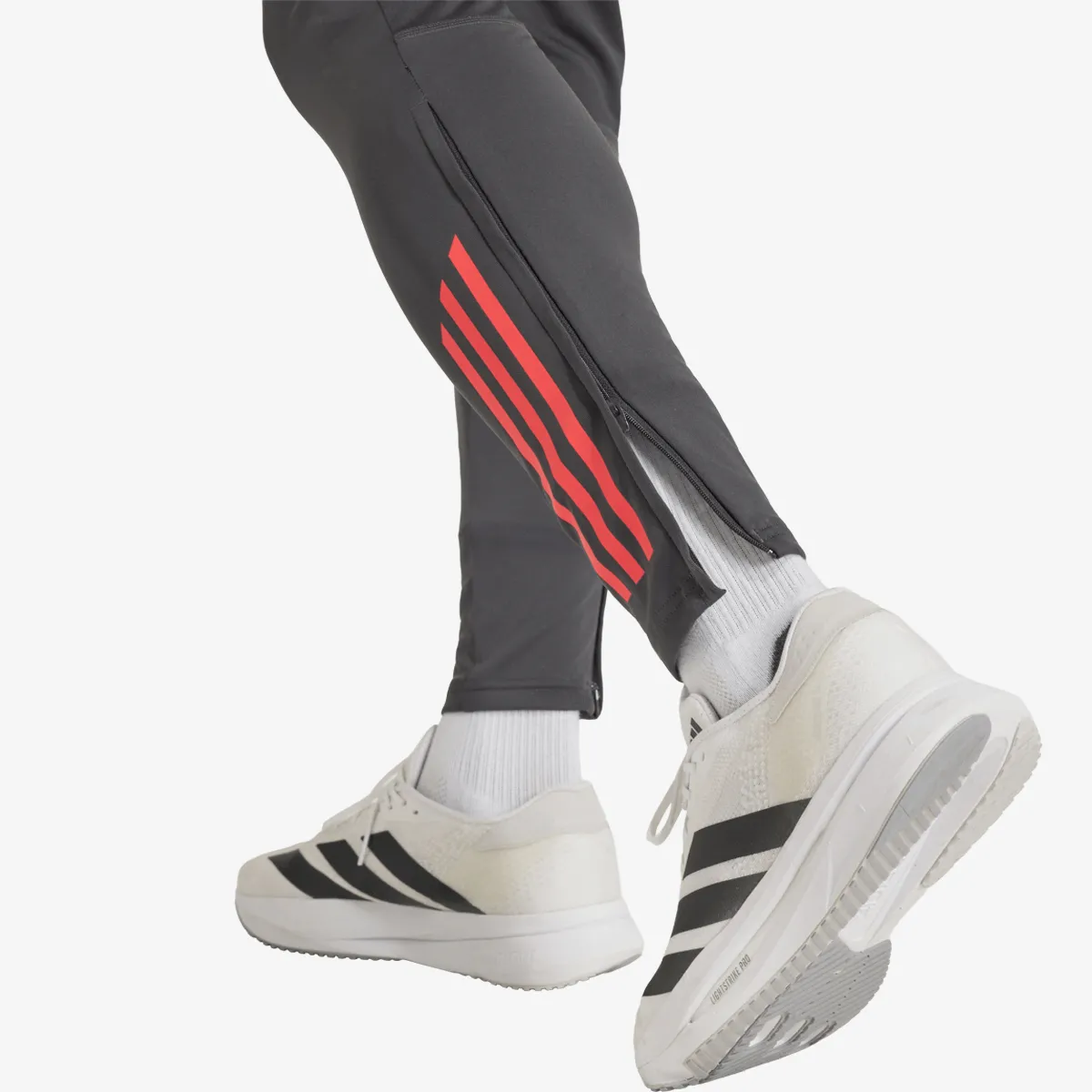 ADIDAS Hlače LFC TR PNT 