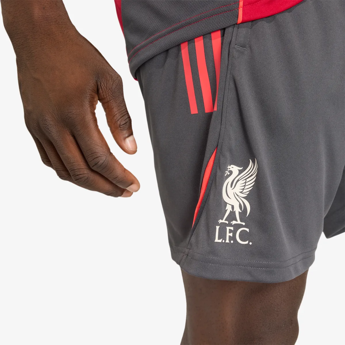 ADIDAS Kratke hlače LFC TR SHO 