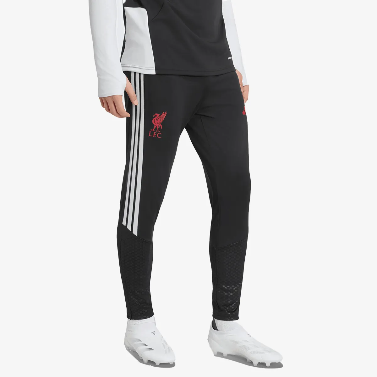 adidas Hlače LFC TR PNT 