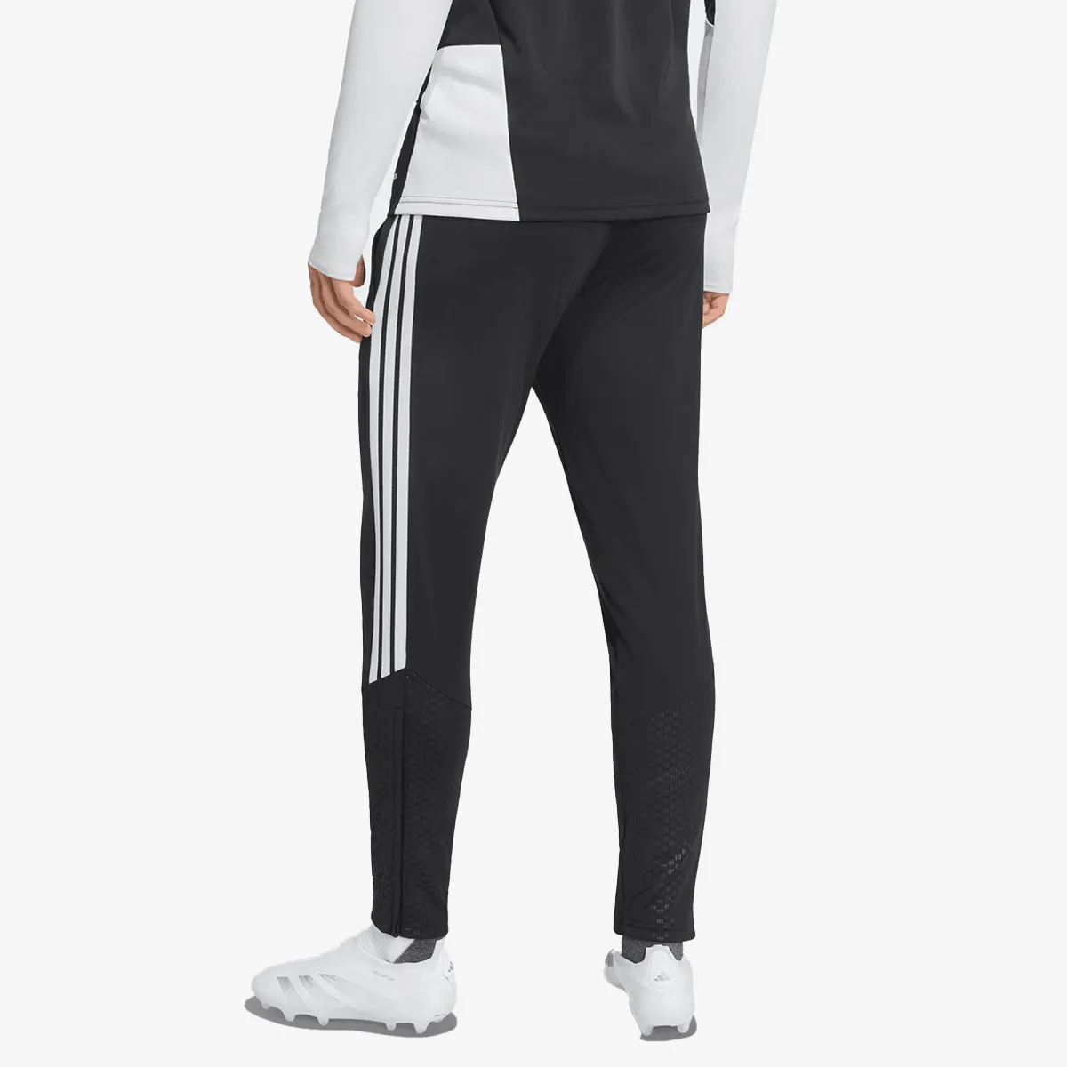 adidas Hlače LFC TR PNT 