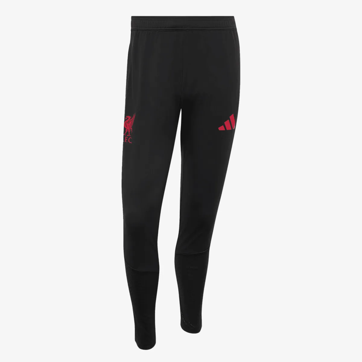 adidas Hlače LFC TR PNT 