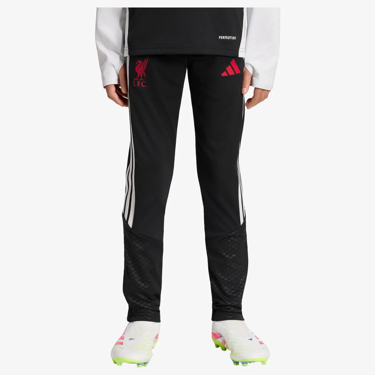 adidas Hlače LFC TR PNTY 