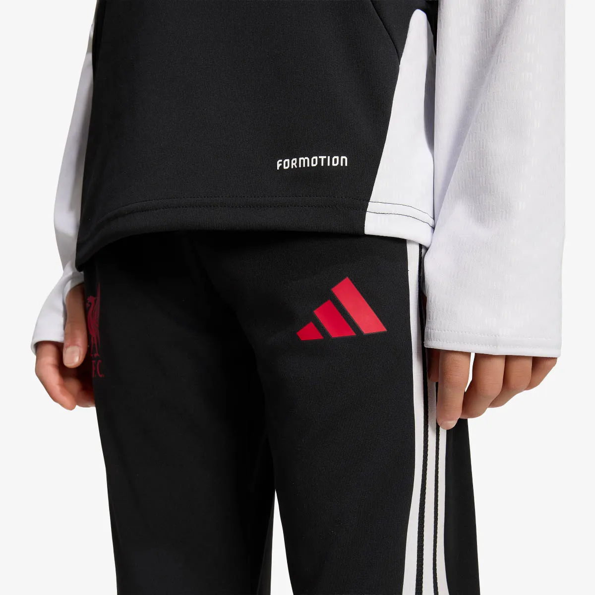 adidas Hlače LFC TR PNTY 