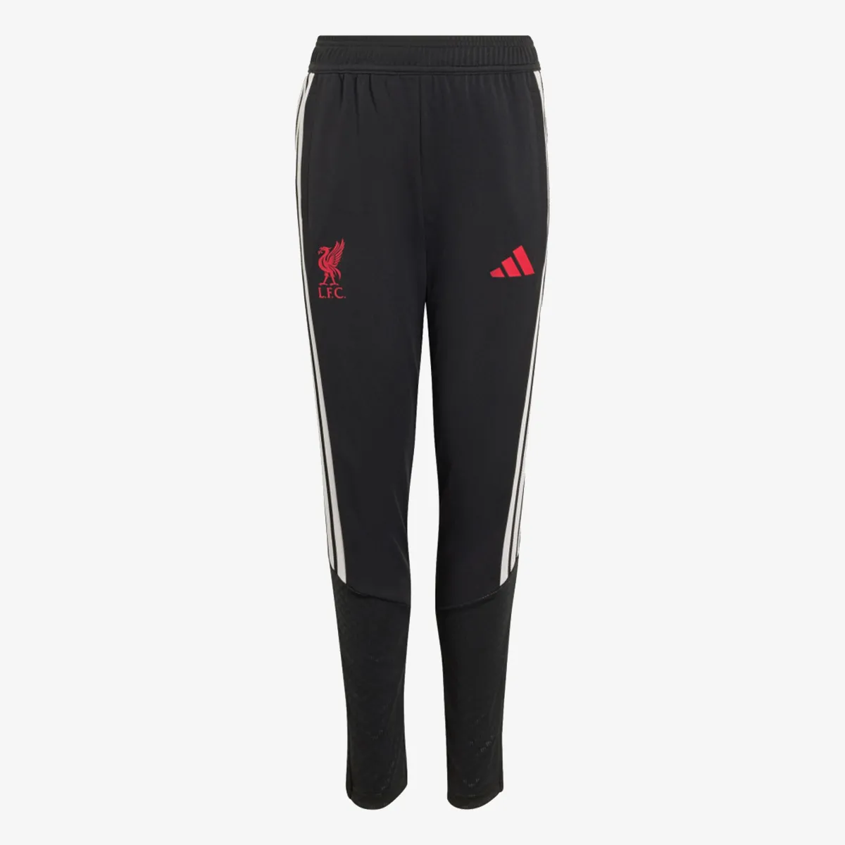 adidas Hlače LFC TR PNTY 