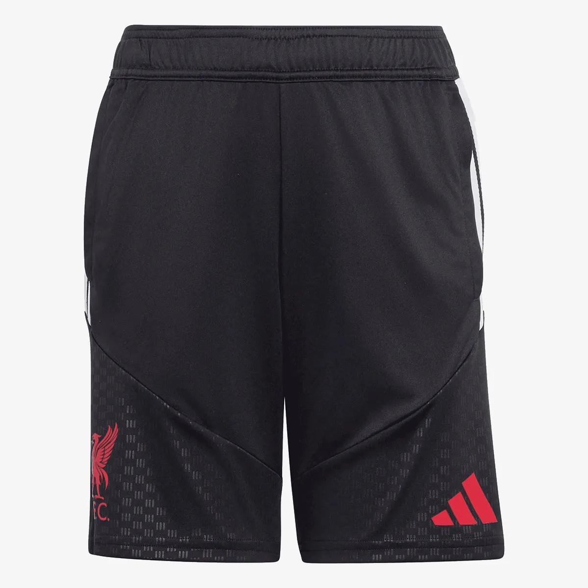ADIDAS Kratke hlače LFC TR SHOY 