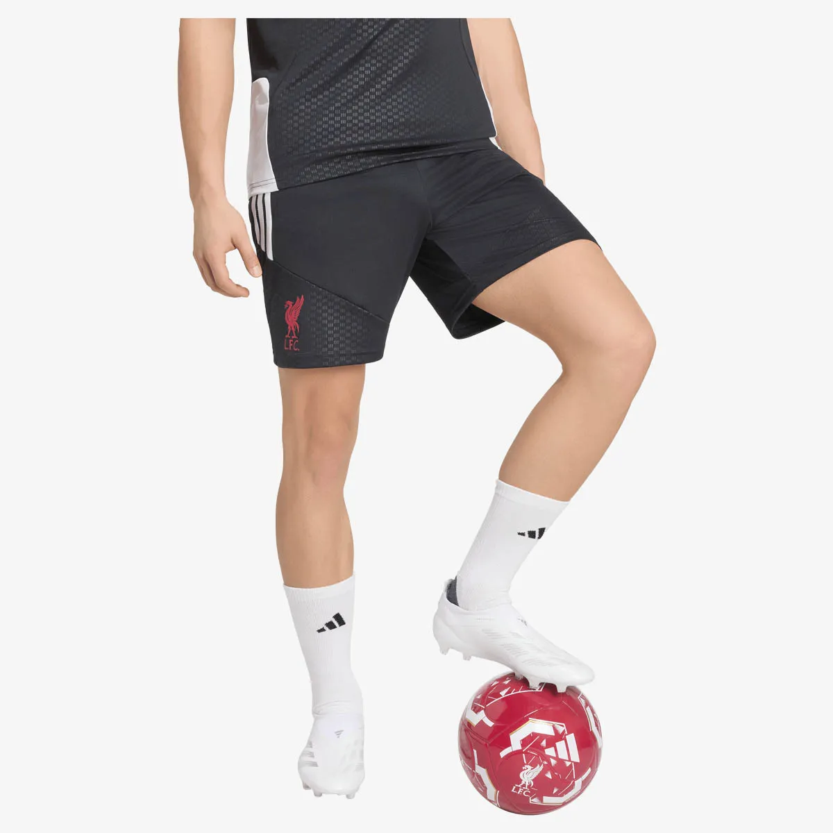 adidas Kratke hlače LFC TR SHO 