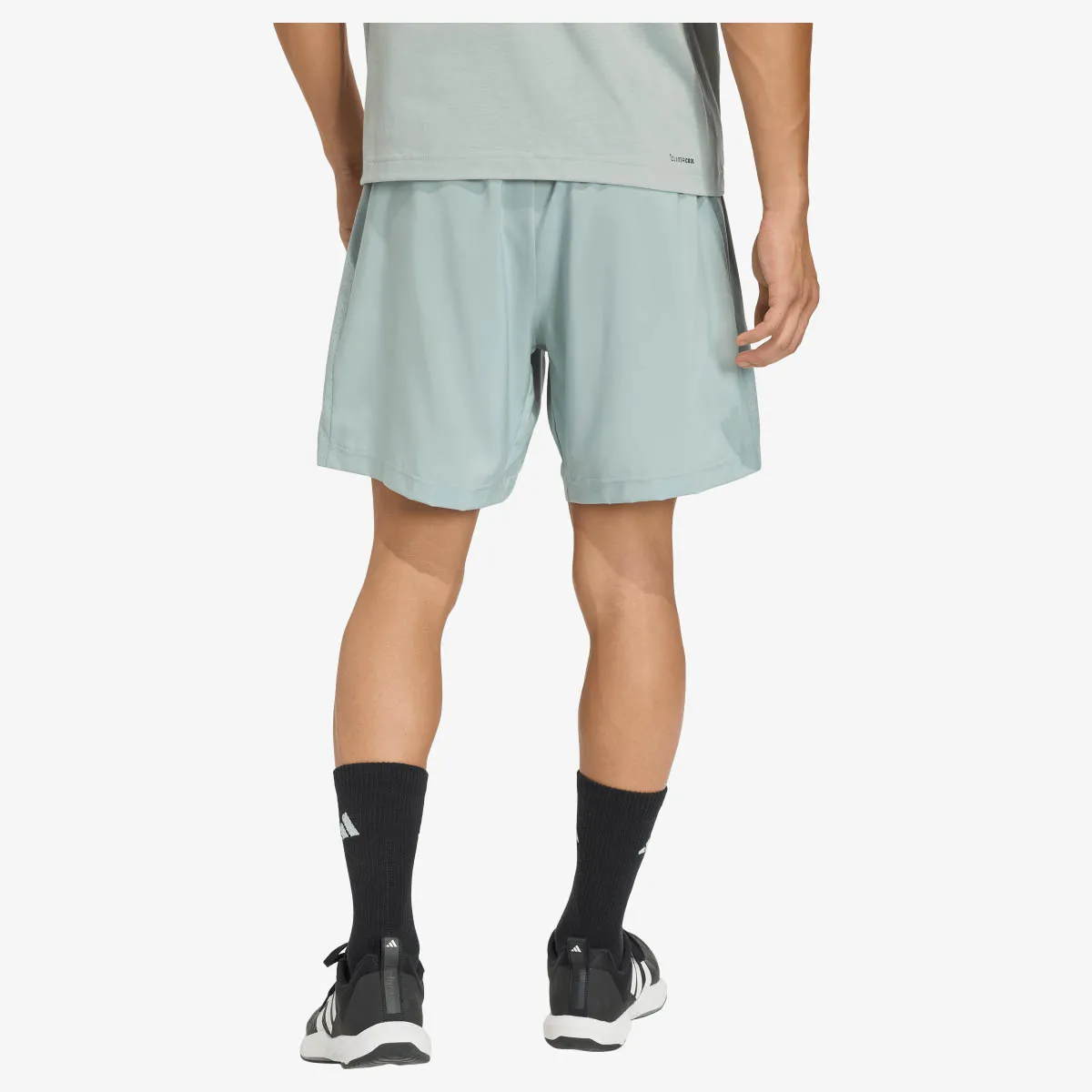 ADIDAS Kratke hlače WE BAS WV SHO 