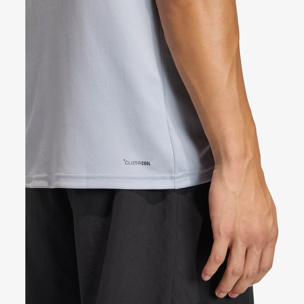ADIDAS T-Shirt WE BAS T 