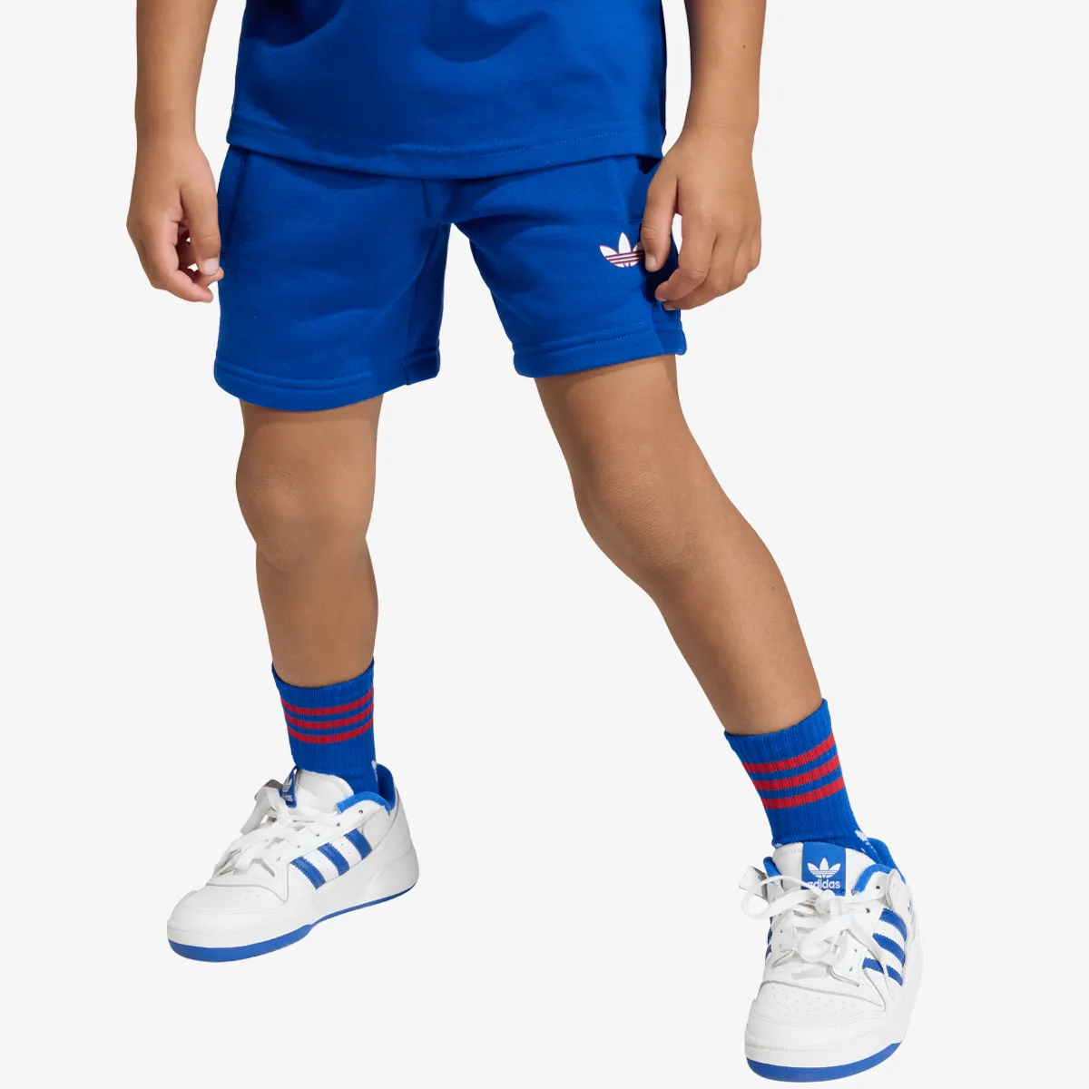 adidas Hlače TR LO STS 