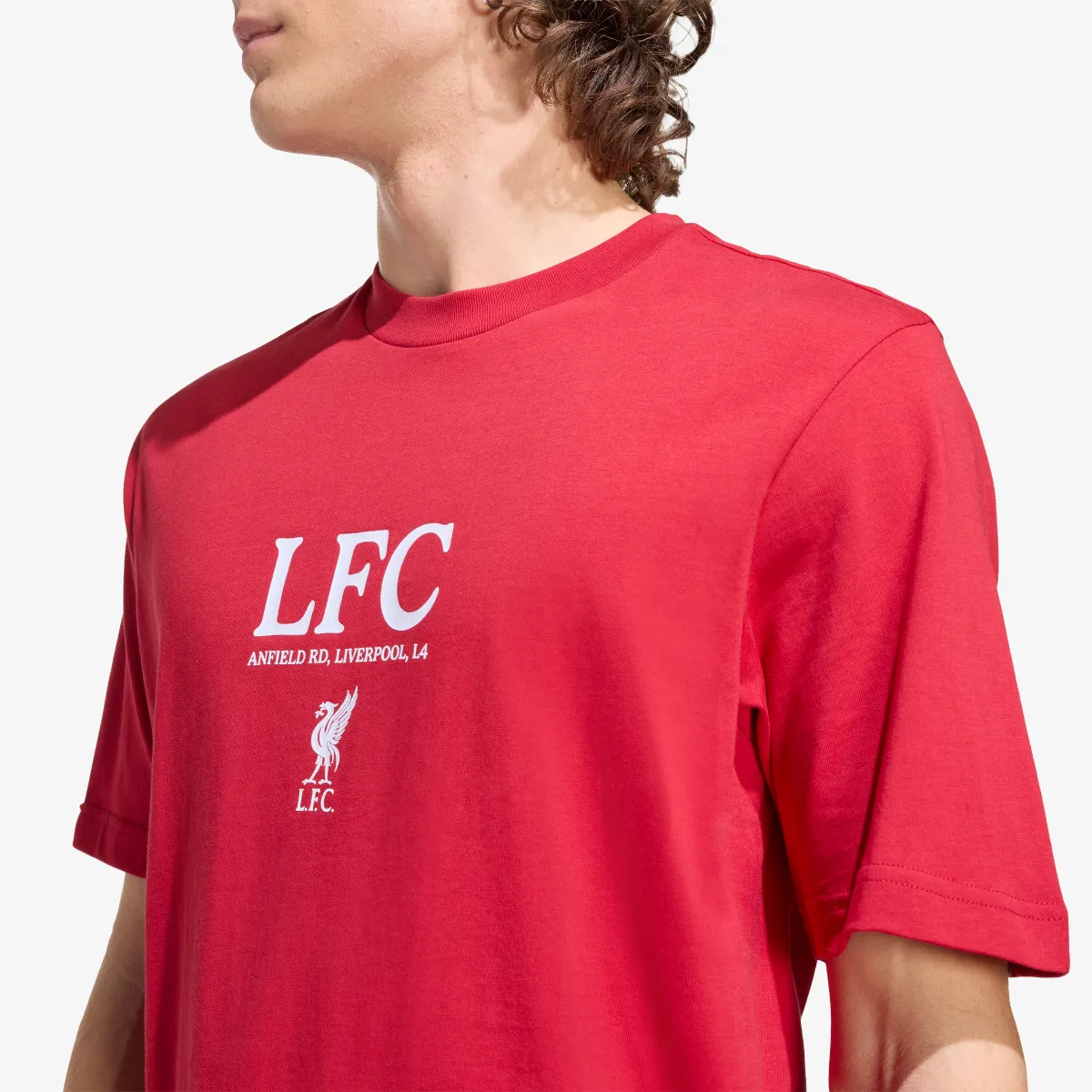 ADIDAS T-Shirt LFC GR TEE 